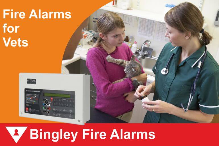 What Every Veterinary Practice Should Consider When Planning a Commercial Fire Alarm System